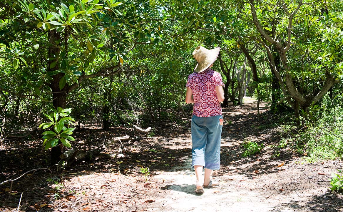 An early morning nature walk through the tropical forest on Vamizi Island, Mozambique.