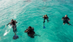 Vamizi - diving class