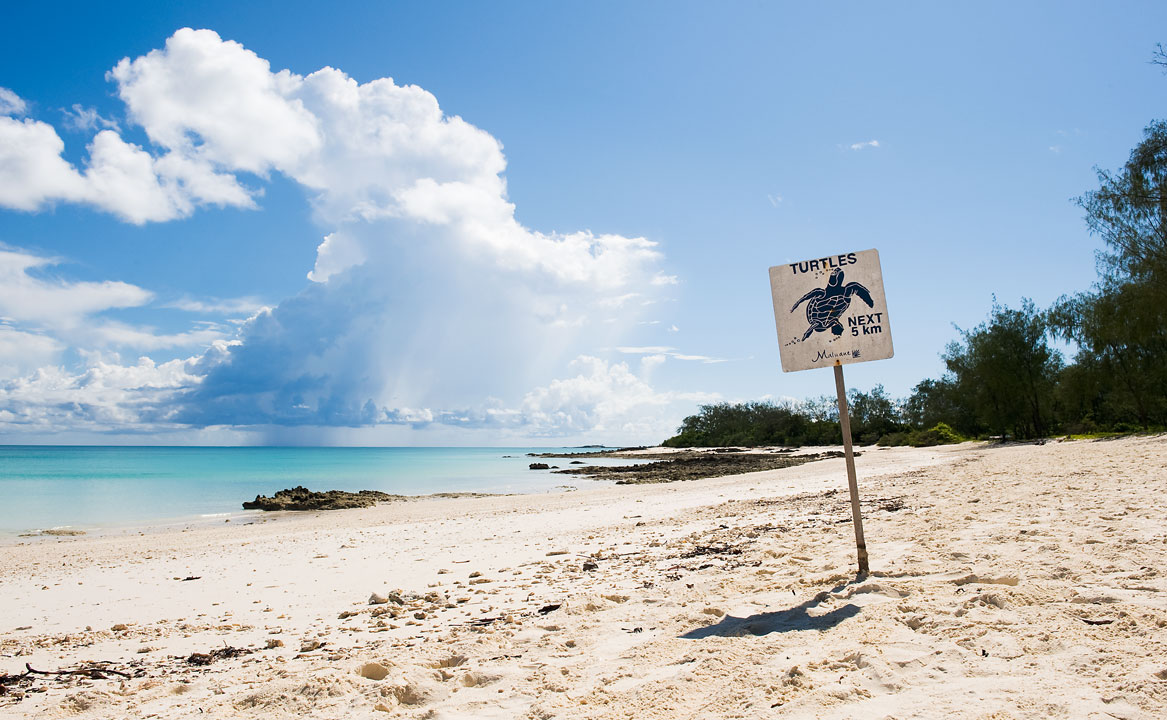 A sign on the beach marks the spot on Vamizi Island where the turtle hatchery begins.